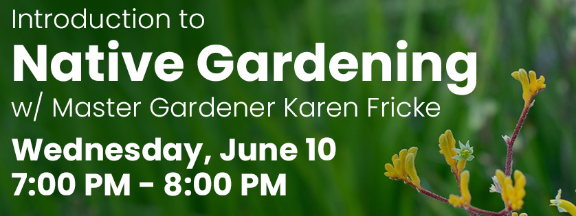 Intro to Native Gardening, Wed, June 10, 7:00 pm